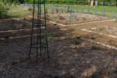 préparation d'un nouveau jardin